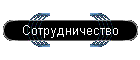 Сотрудничество